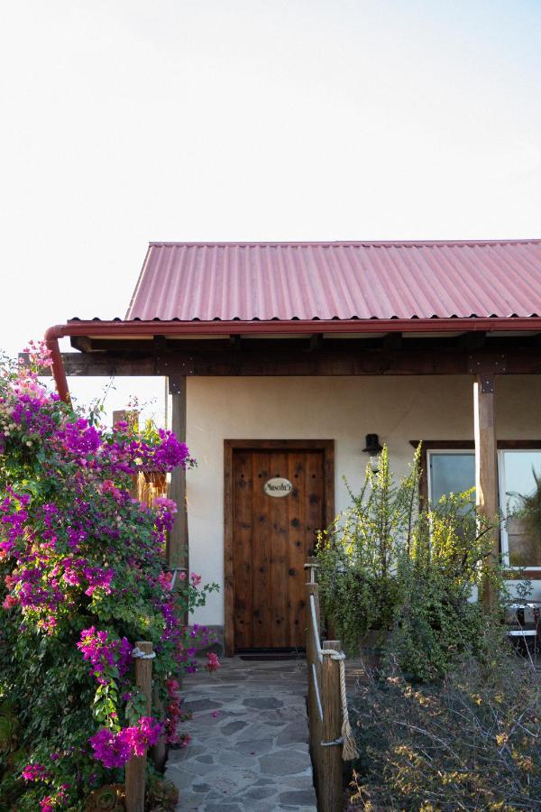 Terra Del Valle Bed & Breakfast Valle de Guadalupe Luaran gambar